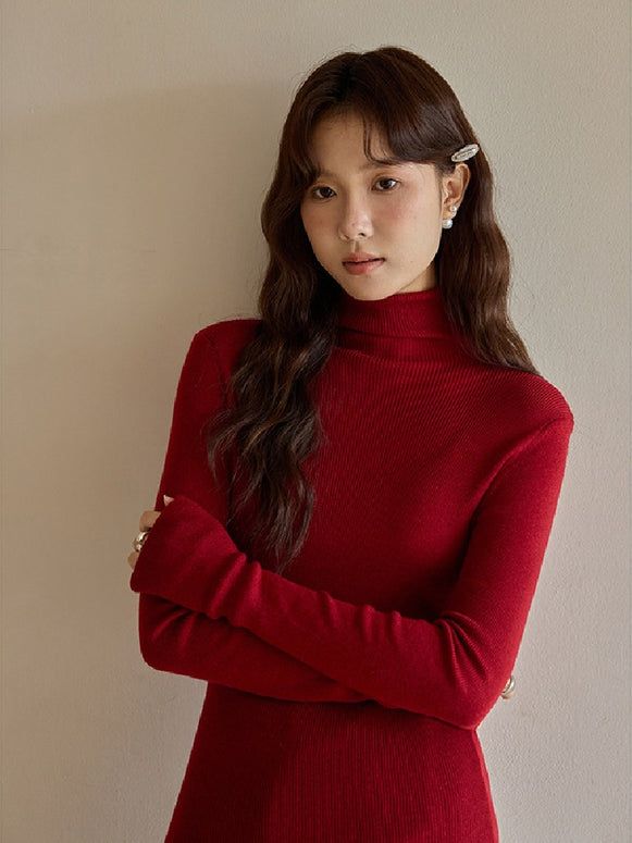 ハイネック リブ ニット 長袖 シンプル スリム 大人カジュアル きれいめ インナー 秋冬 トップス ID2294